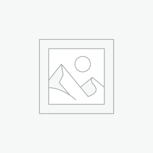 Property & Casualty · Acceso 3 meses